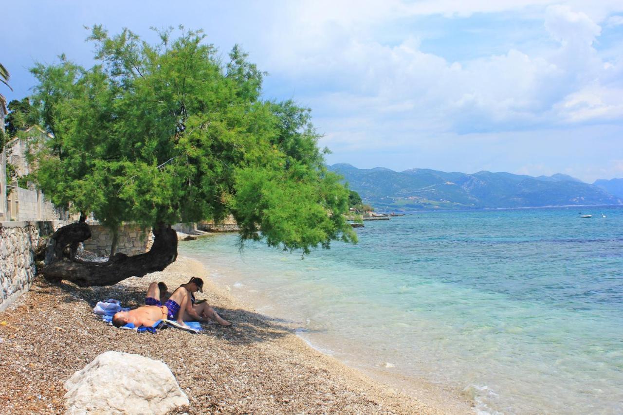 Apartments By The Sea Orebic, Peljesac - 4496 エクステリア 写真